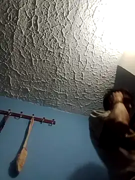 wonka3  online show from November 5, 2025, 11:05 pm