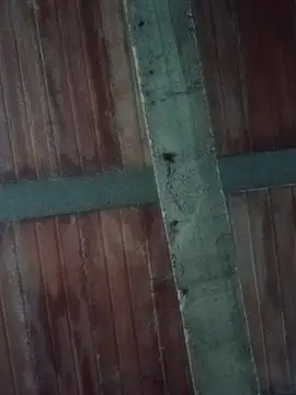 Snapshot of Megan2026 chatting on February 19, 2026, 11:12 pm Megan2026 online show from February 19, 2026, 11:12 pm