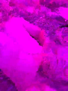 PitoDuroWuero online show from November 27, 2025, 11:34 am