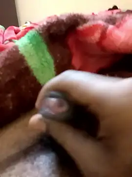 tamal2511 online show from January 12, 2026, 2:11 pm