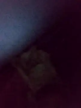 Drian1010 online show from November 4, 2025, 5:39 am