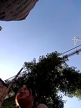 Snapshot of Bee-bgolden chatting on November 26, 2025, 7:31 am Bee-bgolden online show from November 26, 2025, 7:31 am