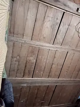 Snapshot of Bee-bgolden chatting on November 27, 2025, 2:30 pm Bee-bgolden online show from November 27, 2025, 2:30 pm