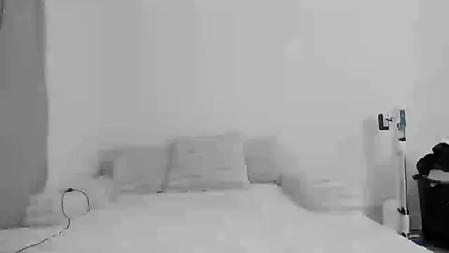 zaylanez online show from November 8, 2025, 6:35 am