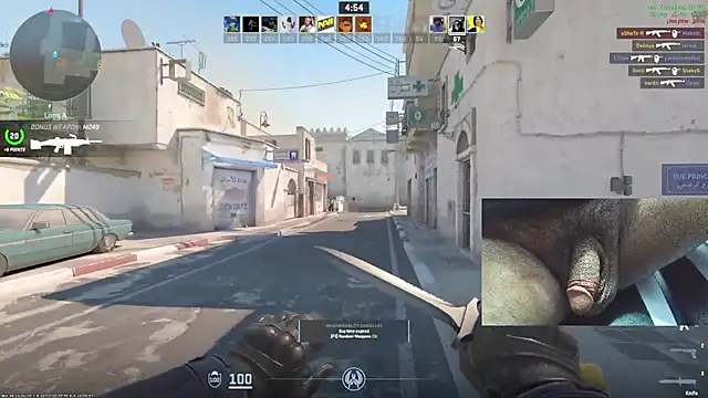 PixelPlaymate online show from November 9, 2025, 11:58 pm