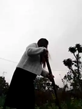 Qoine392 online show from December 20, 2025, 1:34 am