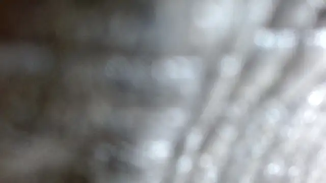 the breasts of desir  online show from November 24, 2025, 7:24 pm