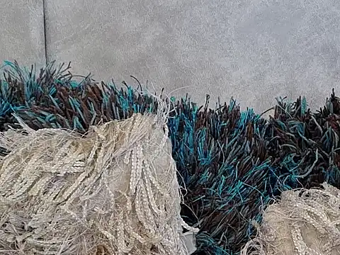 LannyShell online show from November 26, 2025, 5:25 pm