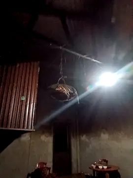 blonde blg online show from February 12, 2026, 10:38 pm