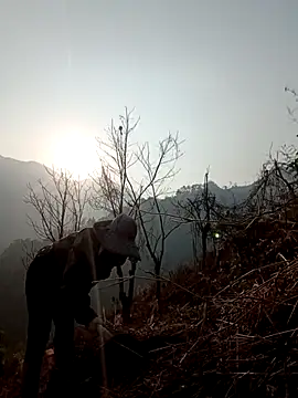 blonde blg online show from April 3, 2026, 10:02 am