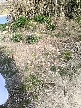 Snapshot of marchigiana chatting on February 26, 2026, 9:19 am marchigiana online show from February 26, 2026, 9:19 am