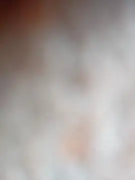 Tayanehot online show from December 2, 2025, 9:14 am