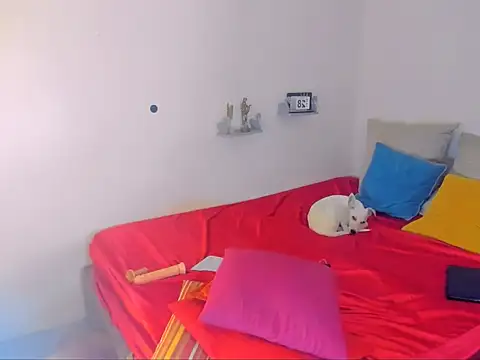 Snapshot of hotcassy chatting on February 25, 2026, 9:57 pm hotcassy online show from February 25, 2026, 9:57 pm