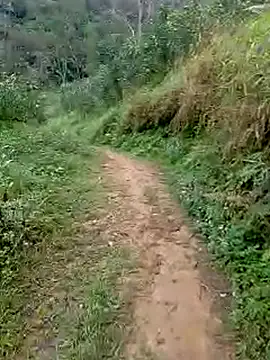 Snapshot of Cloud-wh chatting on March 5, 2026, 12:39 am Cloud-wh online show from March 5, 2026, 12:39 am