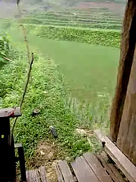 Snapshot of Cloud-wh chatting on April 8, 2026, 12:10 am Cloud-wh online show from April 8, 2026, 12:10 am