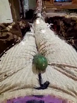 Tota sexi online show from November 27, 2025, 10:45 pm