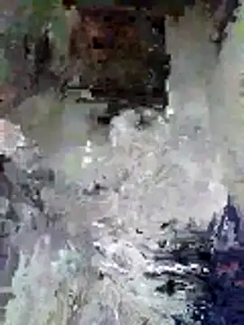 Junior 47 online show from November 16, 2025, 8:31 am