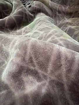 Afganiboy online show from February 4, 2026, 1:50 pm