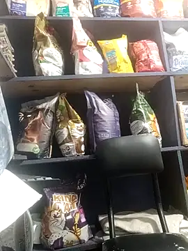 Snapshot of eva_rushh chatting on March 9, 2026, 10:58 pm eva rushh online show from March 9, 2026, 10:58 pm