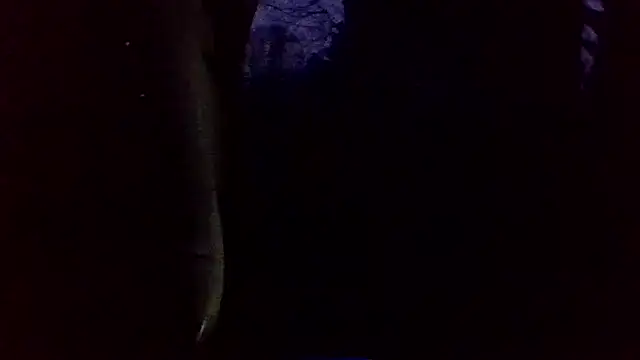 Snapshot of dickencidr chatting on March 19, 2026, 12:14 am dickencidr online show from March 19, 2026, 12:14 am