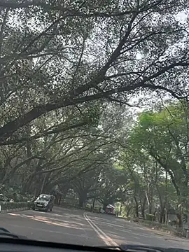 Snapshot of sexyayeshadesi chatting on November 20, 2025, 5:29 am sexyayeshadesi online show from November 20, 2025, 5:29 am