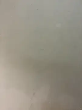 Snapshot of bigass256 chatting on February 14, 2026, 5:04 am bigass256 online show from February 14, 2026, 5:04 am