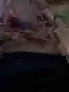 Snapshot of olive3356 chatting on December 18, 2025, 3:40 pm olive3356 online show from December 18, 2025, 3:40 pm