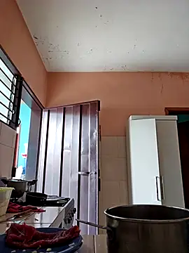 Snapshot of skinnyrox chatting on February 1, 2026, 6:17 pm skinnyrox online show from February 1, 2026, 6:17 pm