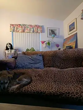 Snapshot of tsashelayamylynzy chatting on November 18, 2025, 12:38 am tsashelayamylynzy online show from November 18, 2025, 12:38 am