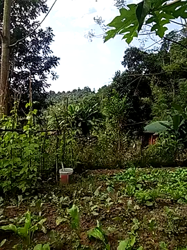 Snapshot of Rose-rose1234 chatting on November 21, 2025, 8:02 am Rose-rose1234 online show from November 21, 2025, 8:02 am