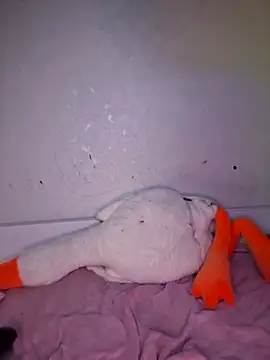 Snapshot of carolinakis_ chatting on February 20, 2026, 7:36 pm carolinakis online show from February 20, 2026, 7:36 pm