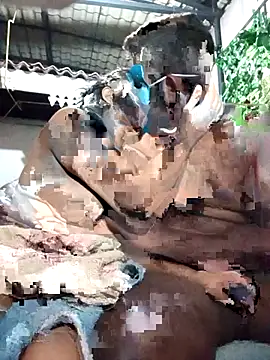 Snapshot of chathu_danu chatting on December 1, 2025, 9:53 pm chathu danu online show from December 1, 2025, 9:53 pm