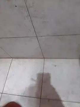 Parejahot534 online show from April 16, 2026, 6:19 pm