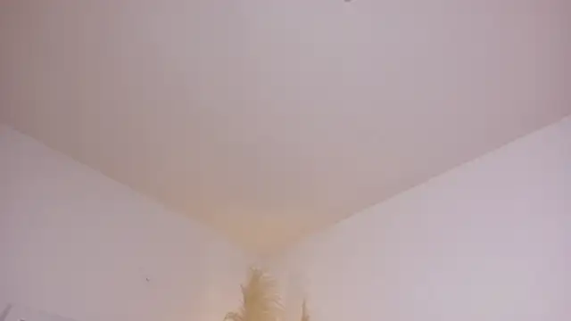 Snapshot of am_berr chatting on December 13, 2025, 7:53 pm am berr online show from December 13, 2025, 7:53 pm