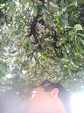 nori dunda online show from December 17, 2025, 6:47 pm