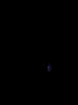 00x0x00 online show from March 29, 2026, 7:03 pm