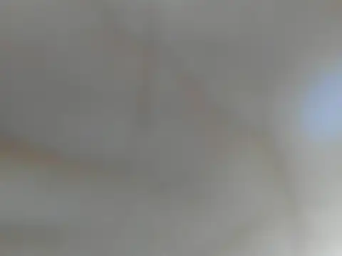 Snapshot of Kenai_Lavis chatting on December 17, 2025, 7:53 pm Kenai Lavis online show from December 17, 2025, 7:53 pm