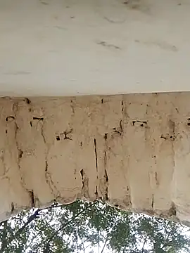 Snapshot of Xxx_suhana chatting on November 27, 2025, 7:54 am Xxx suhana online show from November 27, 2025, 7:54 am