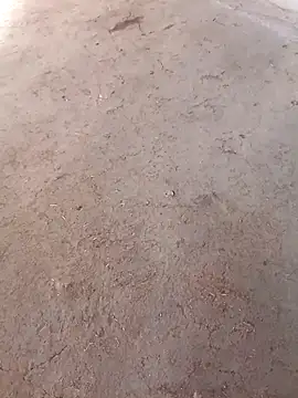 Snapshot of Nandani-758 chatting on December 2, 2025, 10:09 am Nandani-758 online show from December 2, 2025, 10:09 am