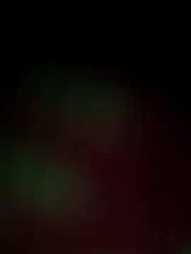 Snapshot of Nandani-758 chatting on December 18, 2025, 12:00 pm Nandani-758 online show from December 18, 2025, 12:00 pm