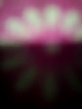 Snapshot of Nandani-758 chatting on December 19, 2025, 12:17 am Nandani-758 online show from December 19, 2025, 12:17 am