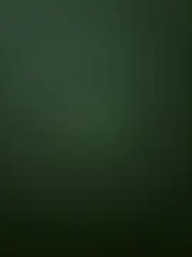 Snapshot of Spring-spring chatting on December 1, 2025, 12:54 pm Spring-spring online show from December 1, 2025, 12:54 pm