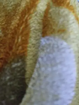 Snapshot of luckyutube chatting on December 21, 2025, 3:30 pm luckyutube online show from December 21, 2025, 3:30 pm