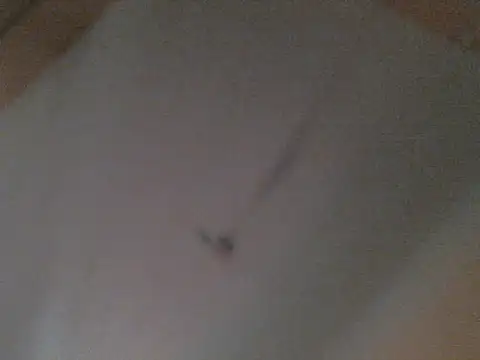 BellahG90 online show from November 22, 2025, 1:54 pm