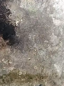 lynae-0 online show from December 15, 2025, 5:12 am