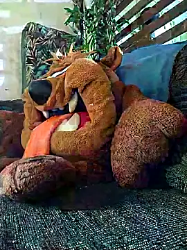 Snapshot of Pirulaibe23 chatting on December 18, 2025, 7:20 pm Pirulaibe23 online show from December 18, 2025, 7:20 pm