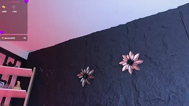 Paulo 527 online show from January 6, 2026, 9:29 pm