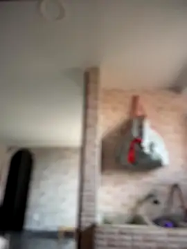 Snapshot of -Nala chatting on December 2, 2025, 12:10 pm -Nala online show from December 2, 2025, 12:10 pm