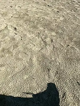 ratemydickbabe online show from December 1, 2025, 9:36 am