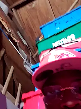 Snapshot of YOUNGmj6023 chatting on December 4, 2025, 6:12 am YOUNGmj6023 online show from December 4, 2025, 6:12 am